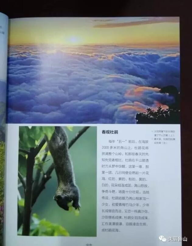 /upload/article/2017/04/21/13cf8d2a-f823-401e-a0cd-9662d5a21eb2.jpg /upload/article/2017/04/21/13cf8d2a-f823-401e-a0cd-9662d5a21eb2.jpg