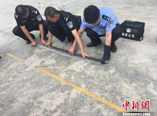 /upload/article/2017/05/12/a9b3b273-9a7e-4db2-a0f5-efb51cc25c21.jpg /upload/article/2017/05/12/a9b3b273-9a7e-4db2-a0f5-efb51cc25c21.jpg