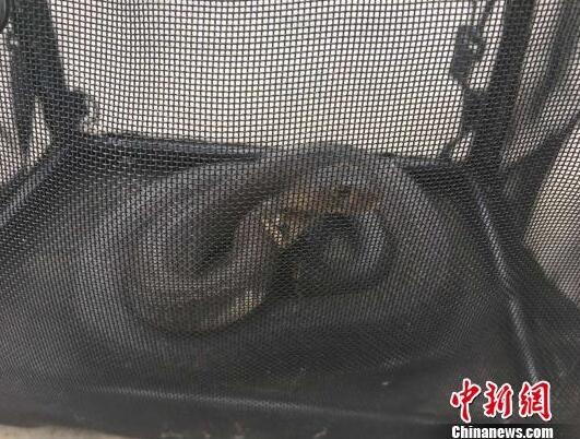 /upload/article/2017/05/12/ca31601d-d81a-4016-b514-1af43cbeaa5b.jpg /upload/article/2017/05/12/ca31601d-d81a-4016-b514-1af43cbeaa5b.jpg