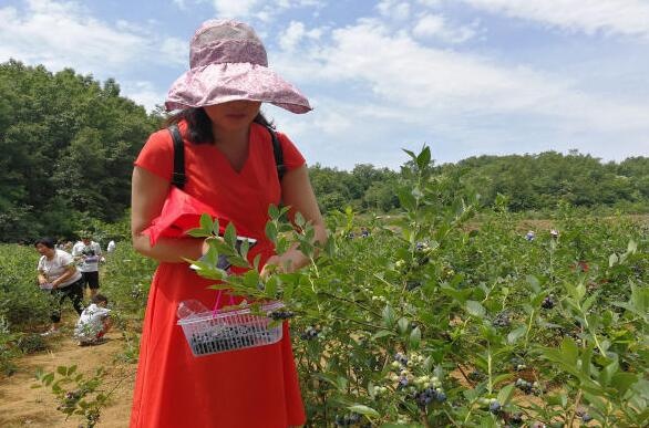 /upload/article/2017/05/31/37fceedf-eb29-4933-9212-8d5d2f6558e0.jpg /upload/article/2017/05/31/37fceedf-eb29-4933-9212-8d5d2f6558e0.jpg