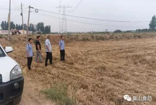 /upload/article/2017/06/01/280a089a-f121-4969-8d83-77c440b9a015.jpg /upload/article/2017/06/01/280a089a-f121-4969-8d83-77c440b9a015.jpg