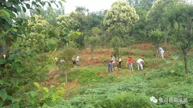 /upload/article/2017/06/16/ae4aa7ee-51f6-42f4-9cab-25166e731620.jpg /upload/article/2017/06/16/ae4aa7ee-51f6-42f4-9cab-25166e731620.jpg