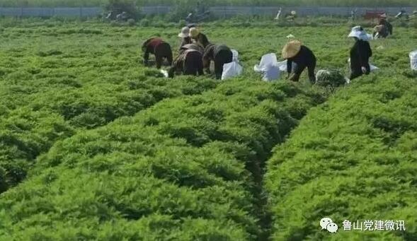 /upload/article/2017/07/09/19dd641f-f3dd-4177-ae5d-8fb83df637ee.jpg /upload/article/2017/07/09/19dd641f-f3dd-4177-ae5d-8fb83df637ee.jpg