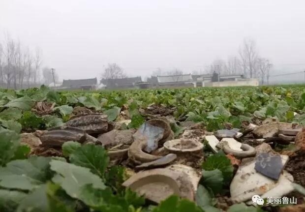 /upload/article/2017/08/10/bda56611-b855-4fc7-bc58-2c3e2892ce30.jpg /upload/article/2017/08/10/bda56611-b855-4fc7-bc58-2c3e2892ce30.jpg