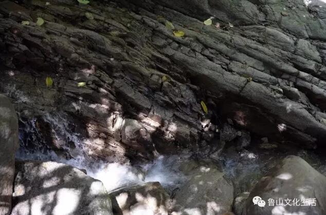 /upload/article/2017/08/20/3c93866e-5e55-4f17-b901-1d195b3c73b2.jpg /upload/article/2017/08/20/3c93866e-5e55-4f17-b901-1d195b3c73b2.jpg