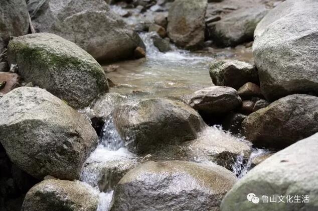 /upload/article/2017/08/20/554a6679-3e1e-4165-9980-569580f4c9af.jpg /upload/article/2017/08/20/554a6679-3e1e-4165-9980-569580f4c9af.jpg