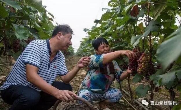 /upload/article/2017/08/20/da6f0e01-1bfb-4a38-b764-dd0f16d0b1a8.jpg /upload/article/2017/08/20/da6f0e01-1bfb-4a38-b764-dd0f16d0b1a8.jpg