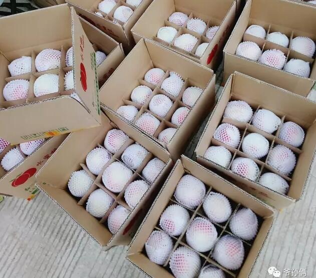 /upload/article/2017/08/23/323c2392-6919-48a0-8fce-a5ccf6142ff0.jpg /upload/article/2017/08/23/323c2392-6919-48a0-8fce-a5ccf6142ff0.jpg