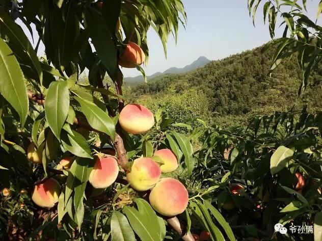 /upload/article/2017/08/23/74de2e6a-a8b1-402e-ac1f-98b507d5a740.jpg /upload/article/2017/08/23/74de2e6a-a8b1-402e-ac1f-98b507d5a740.jpg