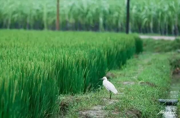 /upload/article/2017/09/05/6cc153ef-9d69-4d6b-ab54-d31082f650cb.jpg /upload/article/2017/09/05/6cc153ef-9d69-4d6b-ab54-d31082f650cb.jpg