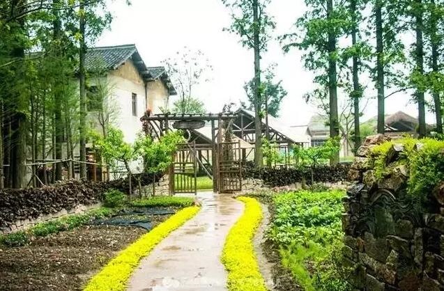 /upload/article/2017/09/05/dcc1a092-ee63-4f4e-a98c-c01c62ad81c2.jpg /upload/article/2017/09/05/dcc1a092-ee63-4f4e-a98c-c01c62ad81c2.jpg