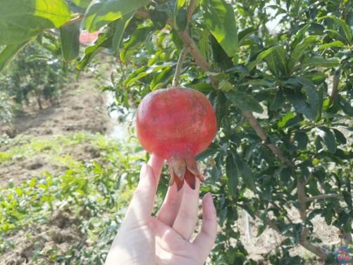 /upload/article/2017/09/26/0354da16-571c-4c3c-9f2b-70cb2950d15d.jpg /upload/article/2017/09/26/0354da16-571c-4c3c-9f2b-70cb2950d15d.jpg