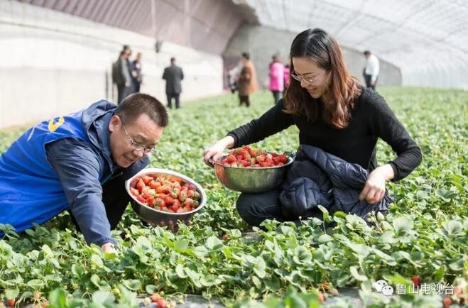 /upload/article/2017/11/02/f221023d-39b4-4075-923b-594b6603c926.jpg /upload/article/2017/11/02/f221023d-39b4-4075-923b-594b6603c926.jpg