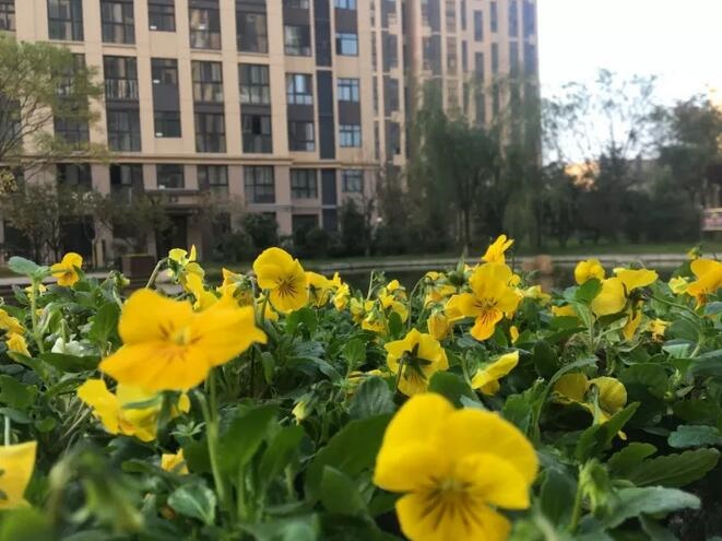 /upload/article/2017/11/10/412c1674-fea1-4001-9a9a-5a97f9c80c66.jpg /upload/article/2017/11/10/412c1674-fea1-4001-9a9a-5a97f9c80c66.jpg