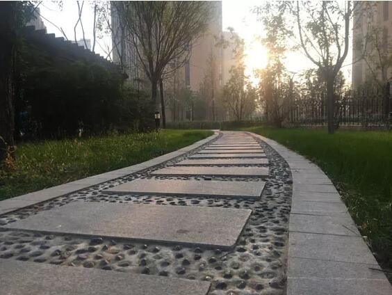 /upload/article/2017/11/10/65ec1a26-b412-45af-a6e7-96869942c3da.jpg /upload/article/2017/11/10/65ec1a26-b412-45af-a6e7-96869942c3da.jpg