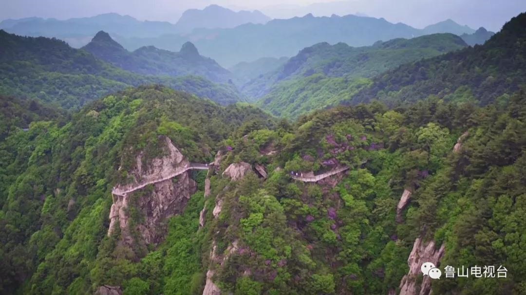 /upload/article/2018/01/26/ff1f36f8-005b-4a37-ae3b-4080b1d52021.jpg /upload/article/2018/01/26/ff1f36f8-005b-4a37-ae3b-4080b1d52021.jpg