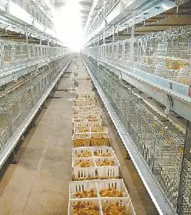 /upload/article/2018/02/25/a6b7ae4b-62b8-4cdb-a43c-c160cb03280f.jpg /upload/article/2018/02/25/a6b7ae4b-62b8-4cdb-a43c-c160cb03280f.jpg