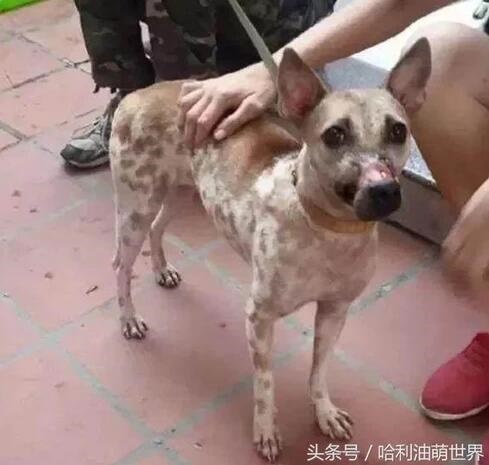 /upload/article/2018/02/25/e6d82eca-7d22-4e00-b109-9a1b0d71caa9.jpg /upload/article/2018/02/25/e6d82eca-7d22-4e00-b109-9a1b0d71caa9.jpg