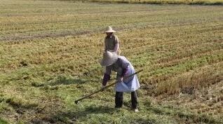 /upload/article/2018/02/25/ec828889-fd77-471a-9a57-8d6001a7b519.jpg /upload/article/2018/02/25/ec828889-fd77-471a-9a57-8d6001a7b519.jpg