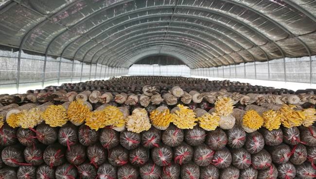 /upload/article/2018/03/23/c53e4b5b-a8c3-4e7d-b861-01e902aea6af.jpg /upload/article/2018/03/23/c53e4b5b-a8c3-4e7d-b861-01e902aea6af.jpg