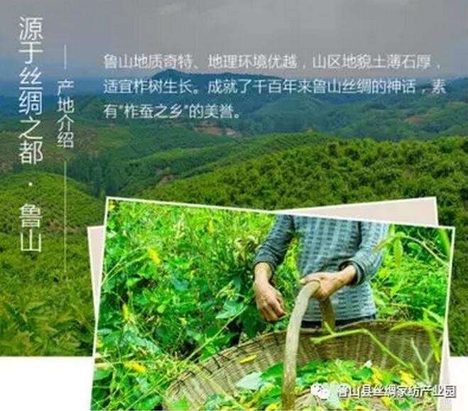 /upload/article/2018/03/26/ed06a261-db6e-4367-b42d-ee13ca364068.jpg /upload/article/2018/03/26/ed06a261-db6e-4367-b42d-ee13ca364068.jpg