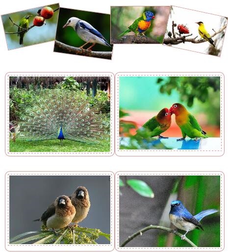 /upload/article/2018/04/10/b6dd8b1f-706f-4620-926e-ffa9d781bac7.jpg /upload/article/2018/04/10/b6dd8b1f-706f-4620-926e-ffa9d781bac7.jpg