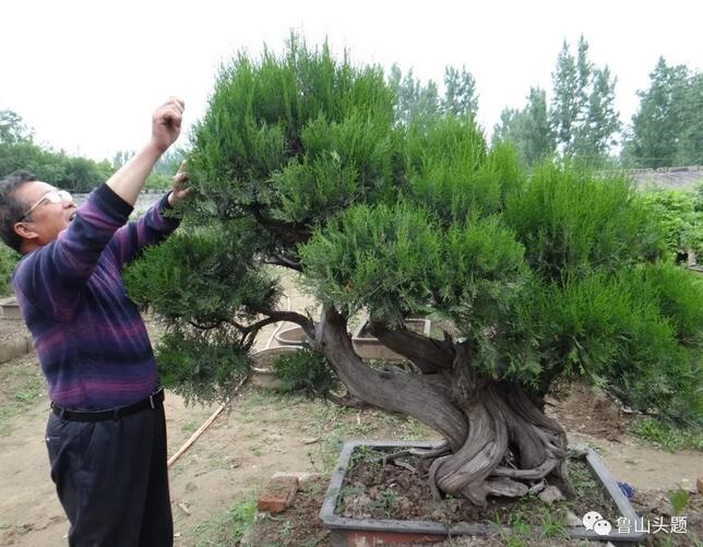 /upload/article/2018/05/23/28c75619-0296-4b4b-b4b6-0bb1ce104831.jpg /upload/article/2018/05/23/28c75619-0296-4b4b-b4b6-0bb1ce104831.jpg