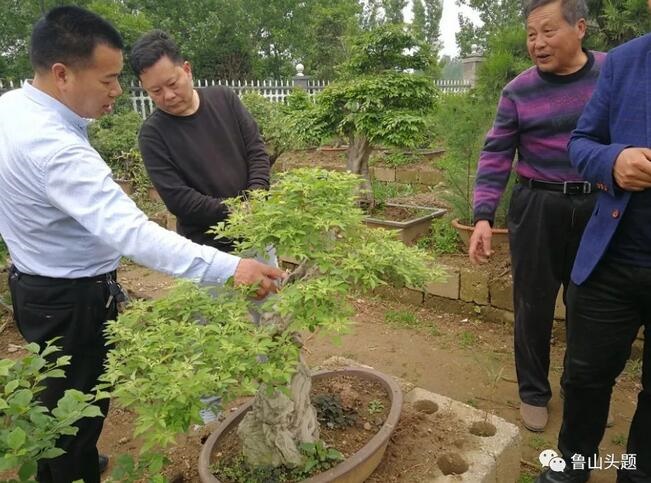 /upload/article/2018/05/23/34ecc43d-2144-4b56-bb1a-6dfef68494ba.jpg /upload/article/2018/05/23/34ecc43d-2144-4b56-bb1a-6dfef68494ba.jpg