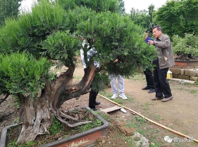 /upload/article/2018/05/23/ce0d27ae-e732-42ac-9024-479321161b3c.jpg /upload/article/2018/05/23/ce0d27ae-e732-42ac-9024-479321161b3c.jpg