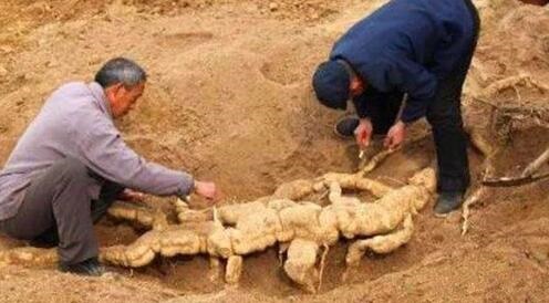 /upload/article/2018/06/04/71b9fa85-4fe1-44fd-9129-ee7ade30232c.jpg /upload/article/2018/06/04/71b9fa85-4fe1-44fd-9129-ee7ade30232c.jpg