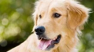 /upload/article/2018/06/04/d5ff9146-5732-47f6-8e3b-c9edade2174b.jpg /upload/article/2018/06/04/d5ff9146-5732-47f6-8e3b-c9edade2174b.jpg