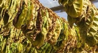 /upload/article/2018/06/27/fd096c17-4dd2-41c7-81d8-c27c89a9b21b.jpg /upload/article/2018/06/27/fd096c17-4dd2-41c7-81d8-c27c89a9b21b.jpg