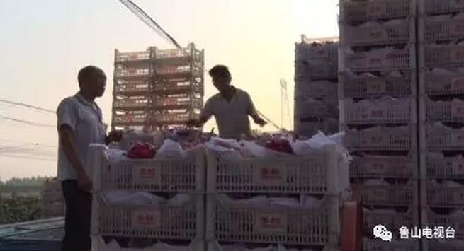 /upload/article/2018/08/28/1a782922-64c9-4561-85ad-b3a44b74ec38.jpg /upload/article/2018/08/28/1a782922-64c9-4561-85ad-b3a44b74ec38.jpg