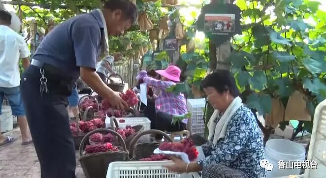 /upload/article/2018/08/28/a10c13db-1482-4c06-b3c0-53a893177cf9.jpg /upload/article/2018/08/28/a10c13db-1482-4c06-b3c0-53a893177cf9.jpg