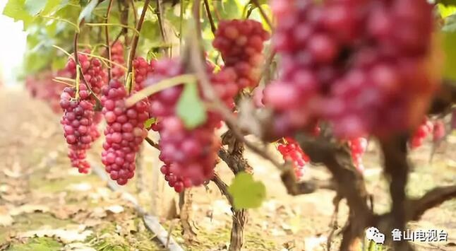 /upload/article/2018/08/28/adb77944-0689-4ed9-bf44-f0b0b9df5a2b.jpg /upload/article/2018/08/28/adb77944-0689-4ed9-bf44-f0b0b9df5a2b.jpg