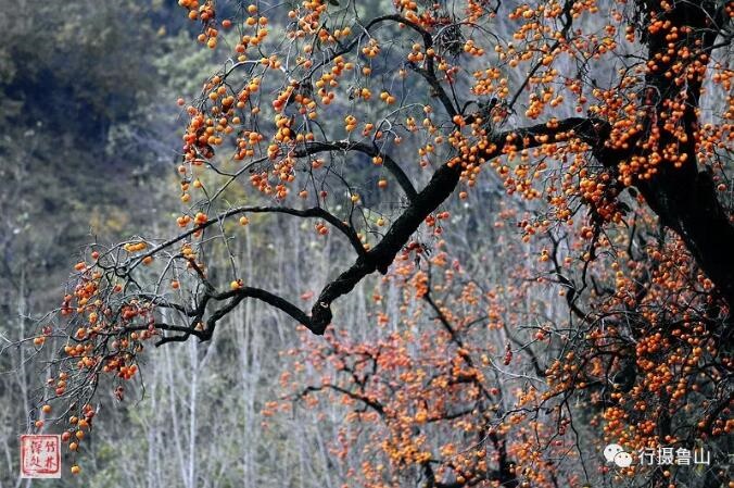 /upload/article/2018/11/12/035778c1-e197-48a0-b413-f4aaea2503c3.jpg /upload/article/2018/11/12/035778c1-e197-48a0-b413-f4aaea2503c3.jpg