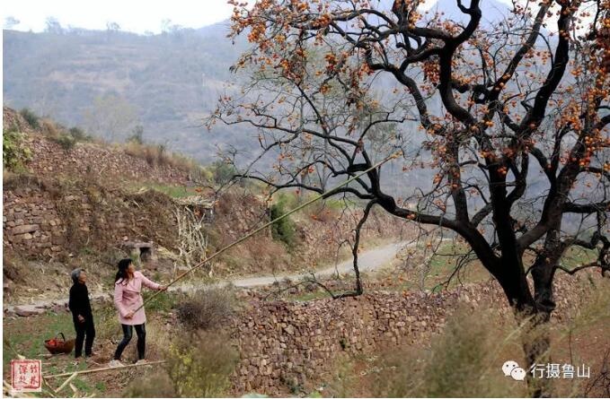 /upload/article/2018/11/12/0bcc0088-4b4d-422e-9778-4677e5d0241c.jpg /upload/article/2018/11/12/0bcc0088-4b4d-422e-9778-4677e5d0241c.jpg