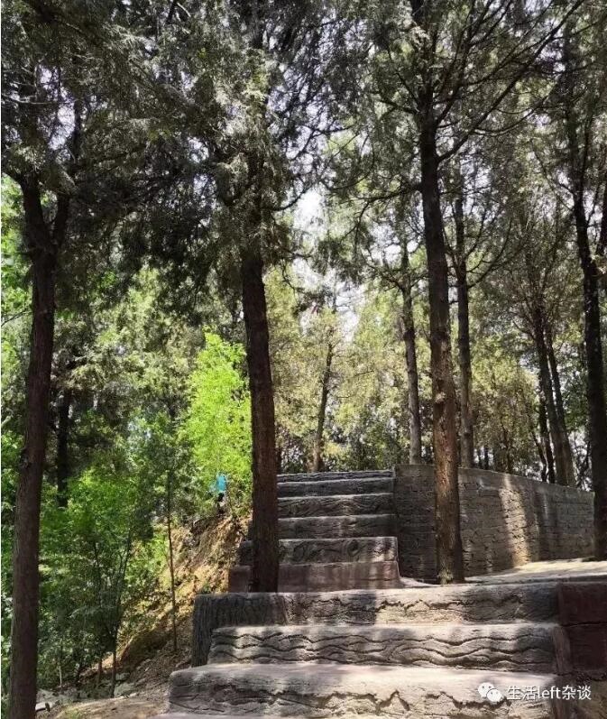 /upload/article/2018/11/12/31ef6bea-0fd6-4b87-8f75-5cd468427ca2.jpg /upload/article/2018/11/12/31ef6bea-0fd6-4b87-8f75-5cd468427ca2.jpg