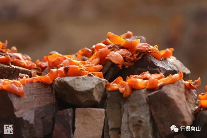 /upload/article/2018/11/12/39c74b4f-cb57-485e-91c7-e57171cfbfec.jpg /upload/article/2018/11/12/39c74b4f-cb57-485e-91c7-e57171cfbfec.jpg