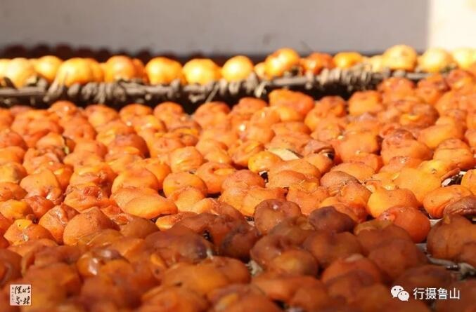 /upload/article/2018/11/12/3a9a227e-36ee-487f-9af9-f9c77507a7db.jpg /upload/article/2018/11/12/3a9a227e-36ee-487f-9af9-f9c77507a7db.jpg