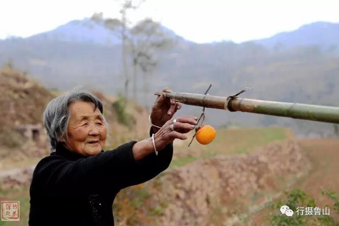 /upload/article/2018/11/12/6289e638-fa18-4021-b33b-b605478bf3fb.jpg /upload/article/2018/11/12/6289e638-fa18-4021-b33b-b605478bf3fb.jpg