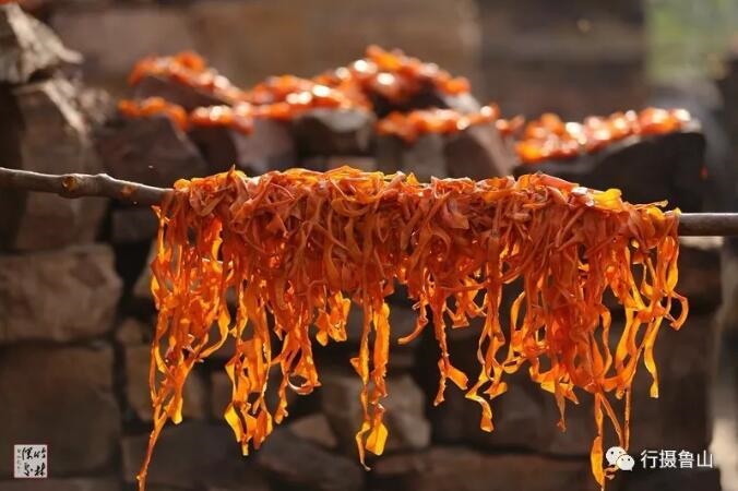 /upload/article/2018/11/12/64952396-dcfa-4935-beab-87e549d6994f.jpg /upload/article/2018/11/12/64952396-dcfa-4935-beab-87e549d6994f.jpg