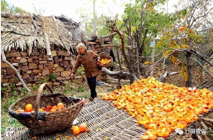 /upload/article/2018/11/12/6dbc8560-866d-47b2-b5c1-b537629a5086.jpg /upload/article/2018/11/12/6dbc8560-866d-47b2-b5c1-b537629a5086.jpg