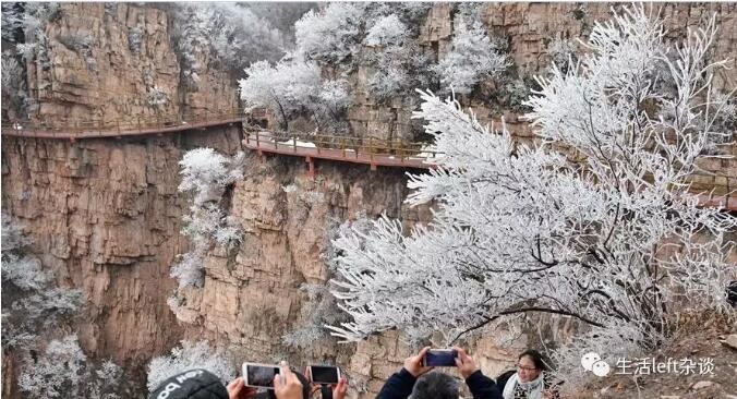 /upload/article/2018/11/12/72fe811b-420f-4032-a94f-080e43056e9a.jpg /upload/article/2018/11/12/72fe811b-420f-4032-a94f-080e43056e9a.jpg