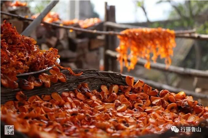 /upload/article/2018/11/12/8aafac8e-f69e-4b8d-b4b4-94851d43a3af.jpg /upload/article/2018/11/12/8aafac8e-f69e-4b8d-b4b4-94851d43a3af.jpg