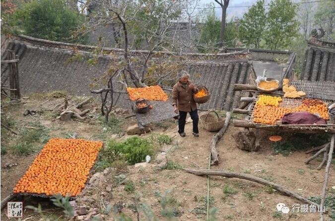 /upload/article/2018/11/12/8cde8d2a-5241-4b6f-bbe5-b54341512846.jpg /upload/article/2018/11/12/8cde8d2a-5241-4b6f-bbe5-b54341512846.jpg