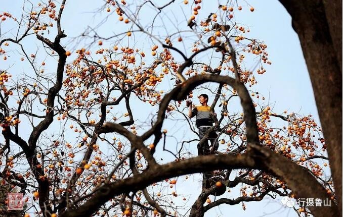 /upload/article/2018/11/12/9c992a23-3452-4410-829f-f118672b0ca8.jpg /upload/article/2018/11/12/9c992a23-3452-4410-829f-f118672b0ca8.jpg