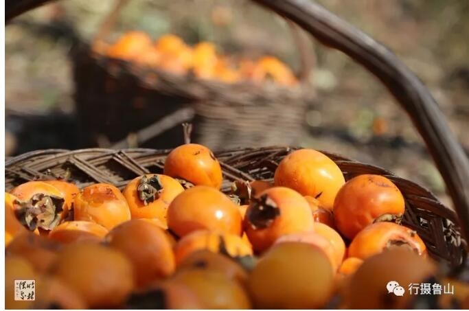 /upload/article/2018/11/12/c824a517-a51d-404c-aa01-d91002acd6bc.jpg /upload/article/2018/11/12/c824a517-a51d-404c-aa01-d91002acd6bc.jpg