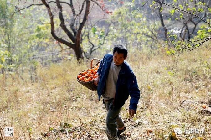 /upload/article/2018/11/12/f396b59a-a328-483e-b235-eff019a25afd.jpg /upload/article/2018/11/12/f396b59a-a328-483e-b235-eff019a25afd.jpg