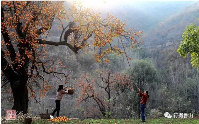 /upload/article/2018/11/12/f9ec2180-acd2-4e82-abb1-0644774a1fbc.jpg /upload/article/2018/11/12/f9ec2180-acd2-4e82-abb1-0644774a1fbc.jpg